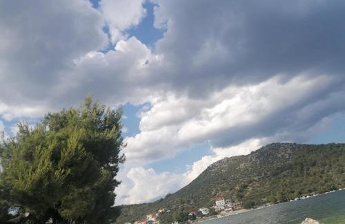 Apartmani Skalinada - Photo 42