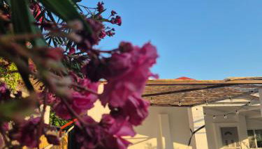 Villa Aspri - Foto 4, Garden