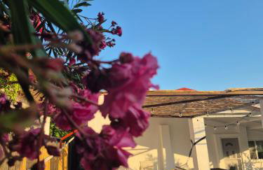 Villa Aspri - Foto 4
