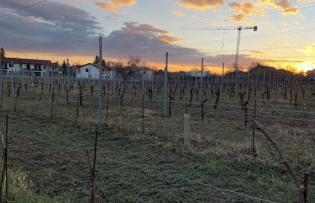 Foresteria La Torretta - Foto 31