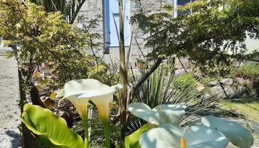 Corvus - Beautiful cottage half a mile from Mousehole - Foto 2