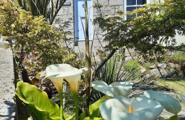 Corvus - Beautiful cottage half a mile from Mousehole - Photo 2