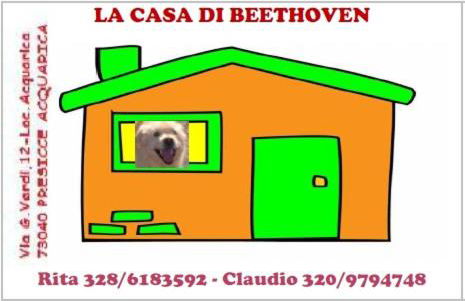 La casa di Beethoven - Foto 16