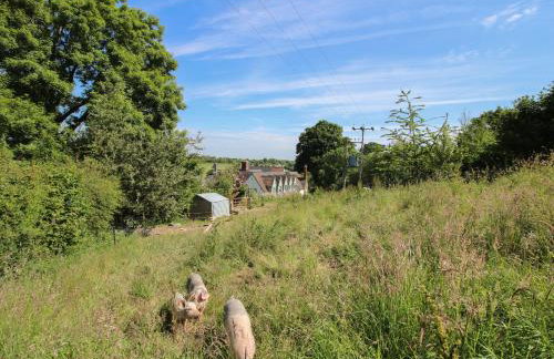 Cherry Pod 2 - Foto 21