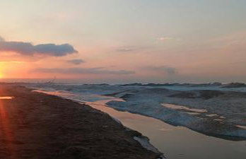 Sprawling Woodland Retreat - Foto 29