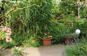 Romantikgarten - Foto 26