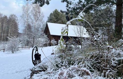 Drewniany Domek w Zakątku Andrzeje Śniczany 18 - Photo 71