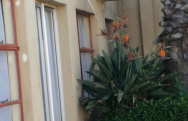 Naisar Holiday Home & Cottage Primrose - Foto 32