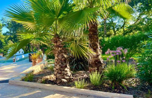 Suite dei sogni - Foto 14