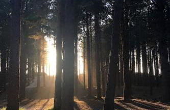 The Presbytery, Forres - Foto 21