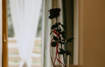 Na Górce Zamkowej - Foto 41