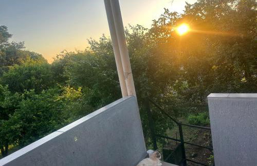 Private suite - Foto 9