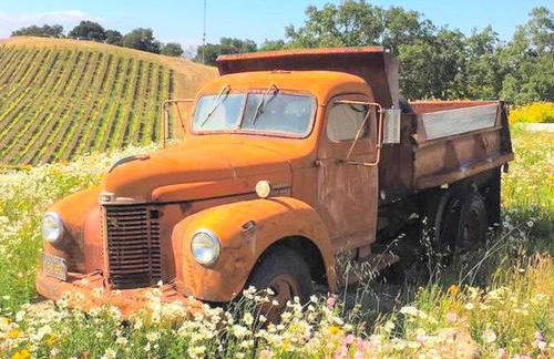 Charming Cottage Rental for a Fun-Filled Vacation in the San Francisco Bay Area, California - Foto 9