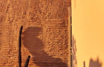 The Artist's Farm - Foto 45