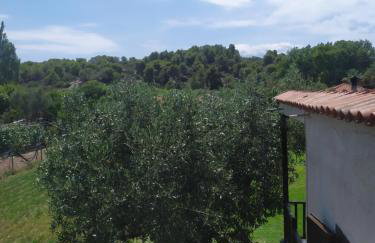 Ioannis Stagkonis House 2 - Photo 45