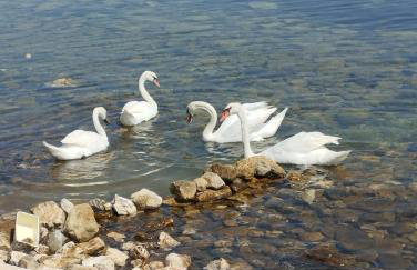 Apartman VTS - Photo 34