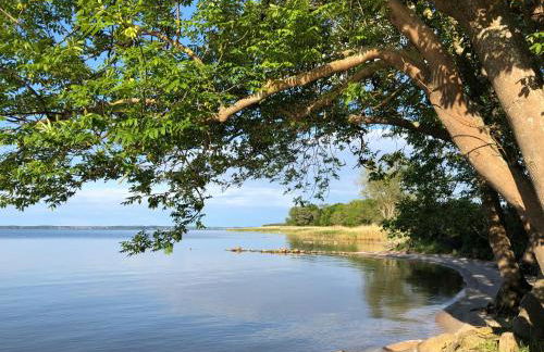 Am Achterwasser DORF 12 - Foto 61