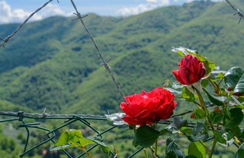 Agriturismo Casapasserini - Foto 12