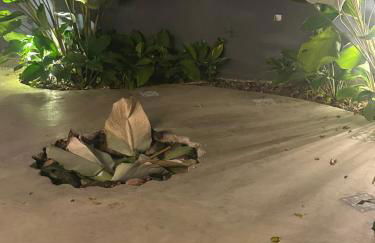 Casa térrea com acessibilidade em Juquehy com piscina climatizada e hidromassagem - Foto 38