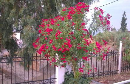 Beautiful home - Foto 13