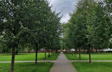 Hemich-Esch - Foto 13