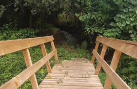 Casa da Mena - Casa de Campo no Caramulo - Foto 31