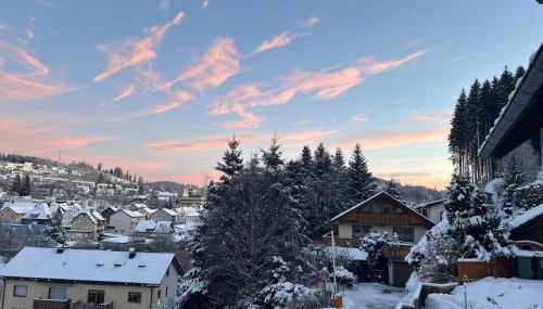 Haus zum Wald - Foto 4