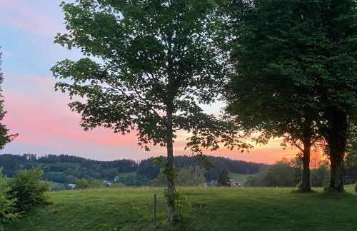 Ferienwohnung Schönblick inklusive Hallenbad, Sauna, Außenpool & Fitnessstudio, familienfreundlich ausgestattet - Foto 13