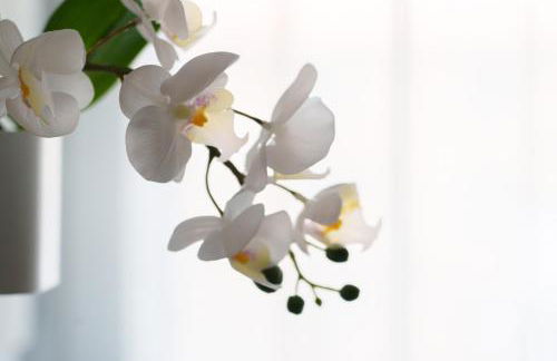 Il Nido di Sesto - Vicino a Milano - Foto 13