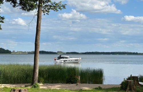 Kwiat Paproci - Foto 65