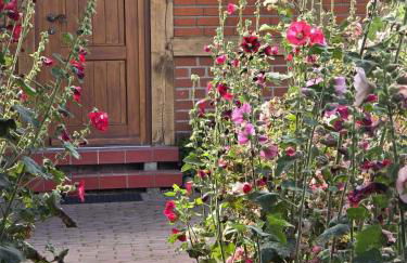 Urlaub unterm Reet - Foto 15