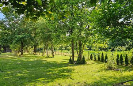 Ranczo Przyłęk - Foto 39