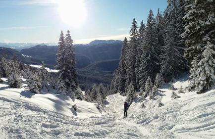 WASCHHAUS - Ferienhaus in Grassau im Chiemgau - Foto 43