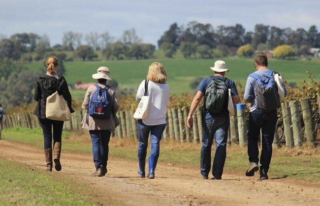 The Sampson - Orange - Foto 41