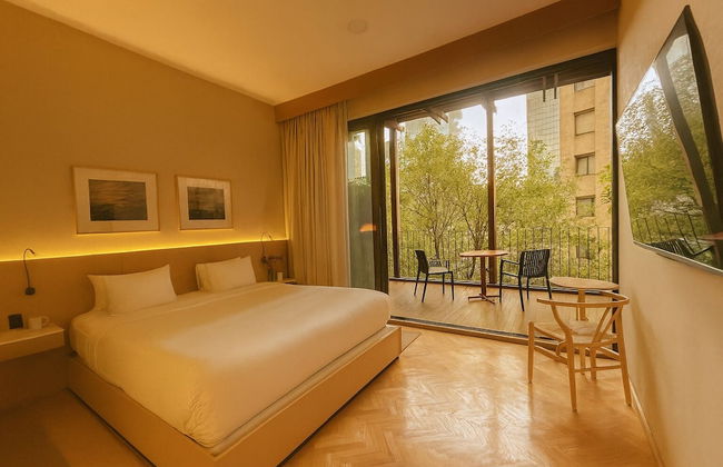 Ana Polanco Apartments - Foto 33