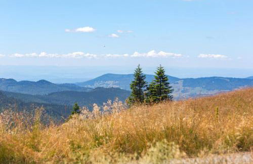 Haus Panoramablick - Fewo Alpenblick, Höchenschwand - Foto 12