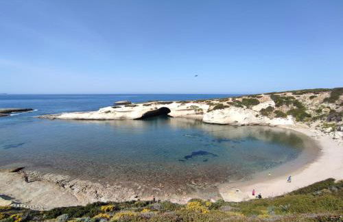 Ale house experience - Foto 45