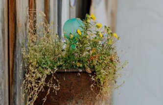 Ferienwohnung Linda - Foto 21