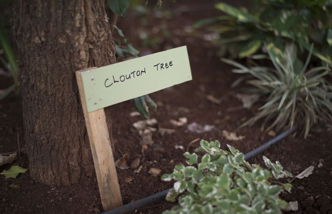 Nyati Hill Cottages - Foto 23