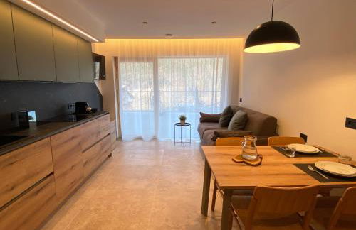 Chalet Larix Andalo Deluxe Apartments - Foto 11