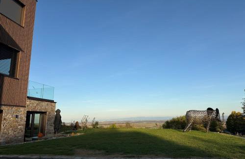L'écrin d'Anne et Stéphane - vue sur Strasbourg - Foto 77