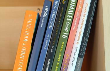 Villa Ardilla (La Adrada) - Foto 19