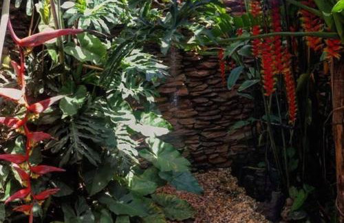 Casa jardim com ofurô - Chapada dos veadeiros - Foto 29