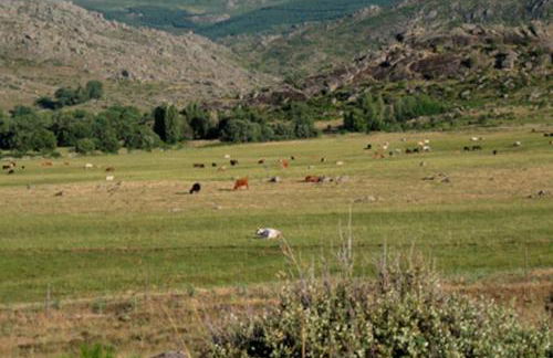 Casa Rural Fuente Tía Canora - Photo 23