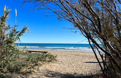 Una Mirada al Alba - Photo 54