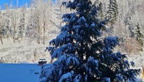 Monteur- und Ferienwohnung Waldrauschen - Foto 3