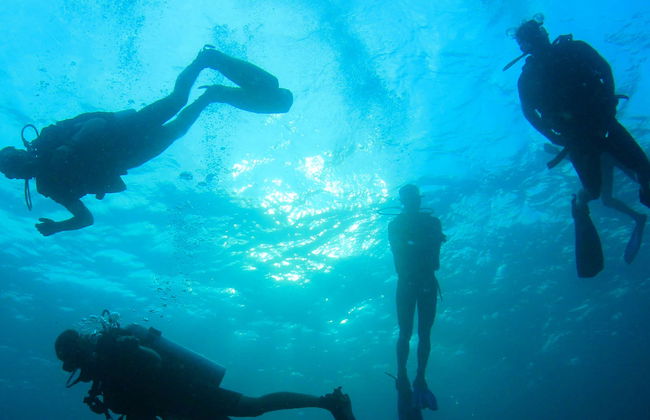 Batismo de mergulho em L'Ametlla de Mar - Foto 1