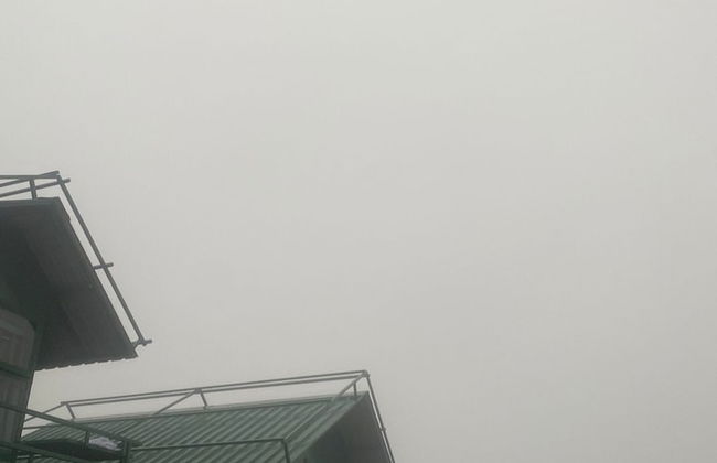 Coorg Tree House - Foto 11