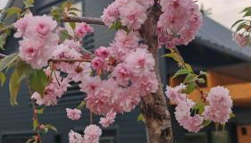 Domek nad Zalewem - Foto 3