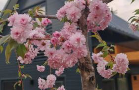 Domek nad Zalewem - Foto 3